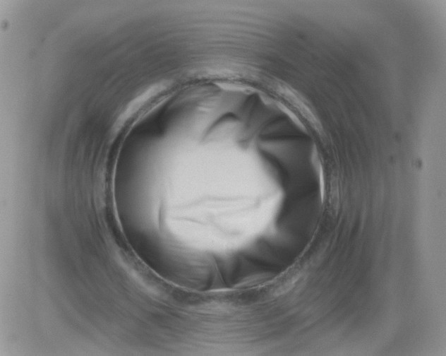 X0000081490578200701262056