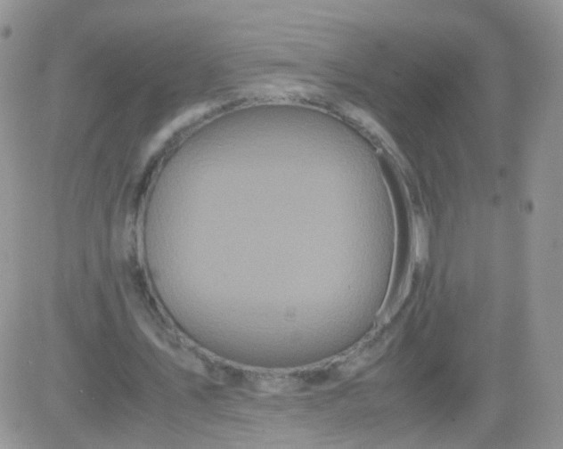 X0000081490579200701262056