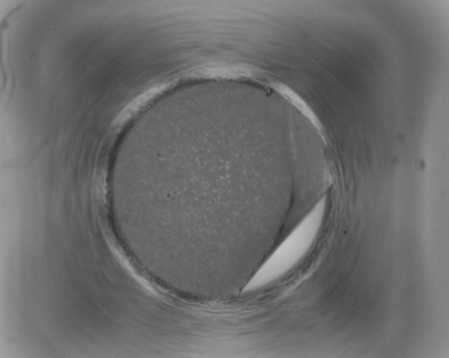 X0000081490581200701262056