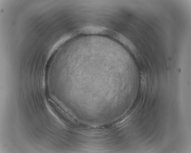 X0000081490582200701262056