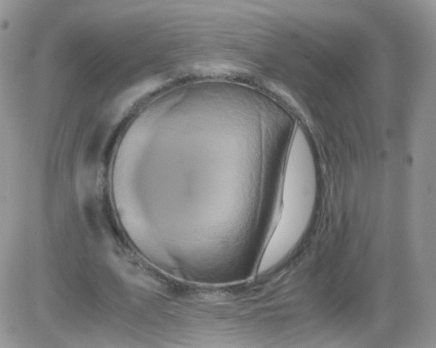 X0000081490583200701262056