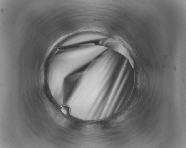 X0000081490584200701262056