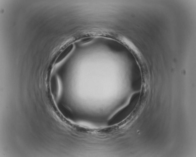 X0000081490585200701262056