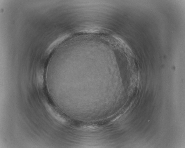 X0000081490586200701262056