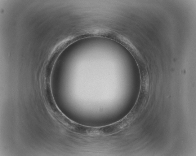 X0000081490587200701262056