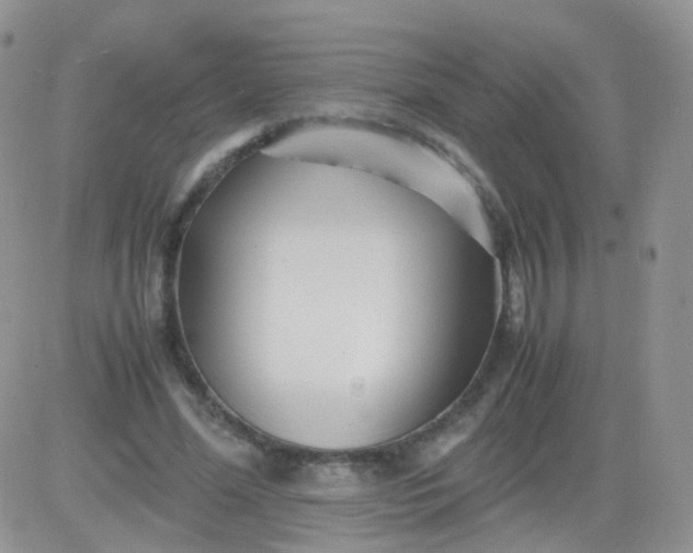 X0000081490588200701262056