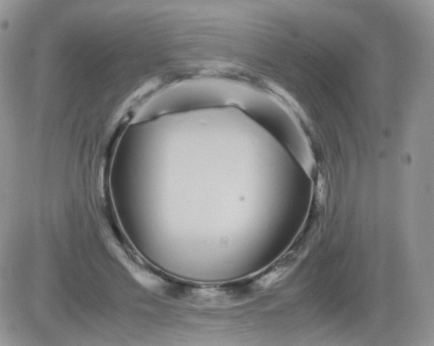 X0000081490589200701262056