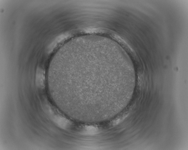 X0000081490592200701262056