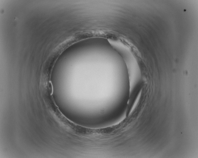 X0000081490593200701262056