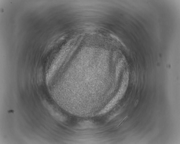 X0000081490594200701262056