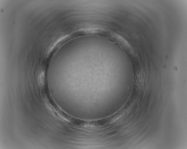 X0000081490596200701262056