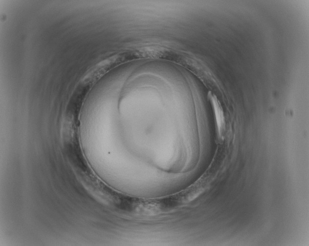 X0000081490599200701262056