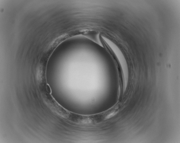 X0000081490600200701262055