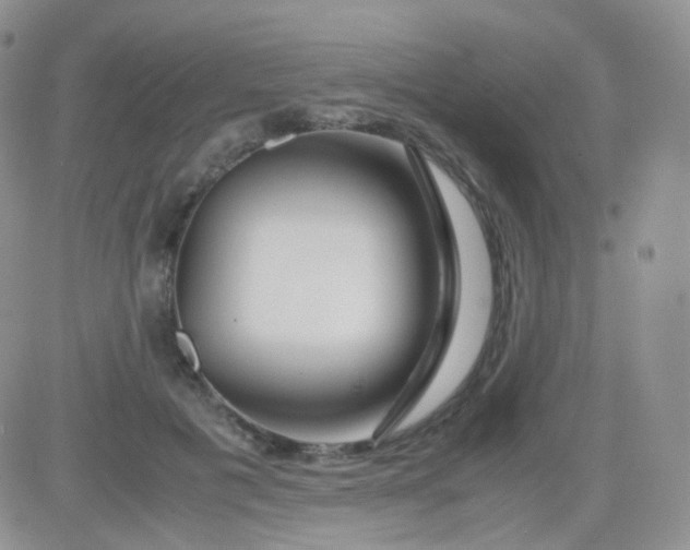 X0000081490601200701262055