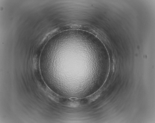 X0000081490604200701262055