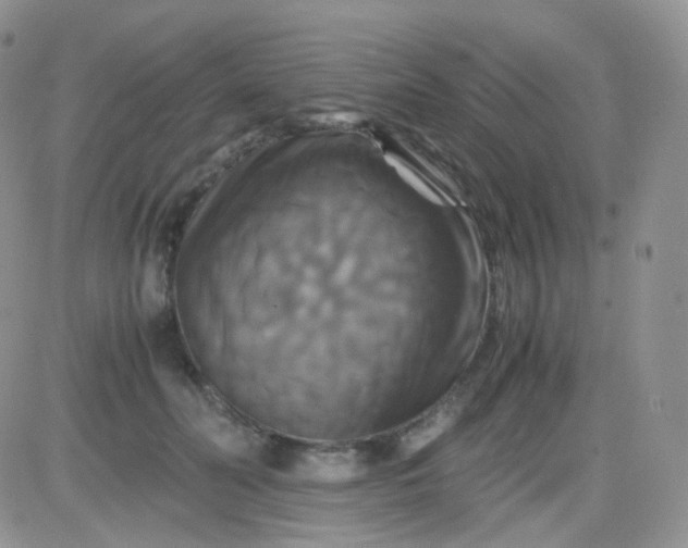 X0000081490606200701262055