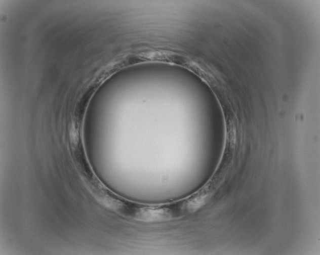 X0000081490607200701262055