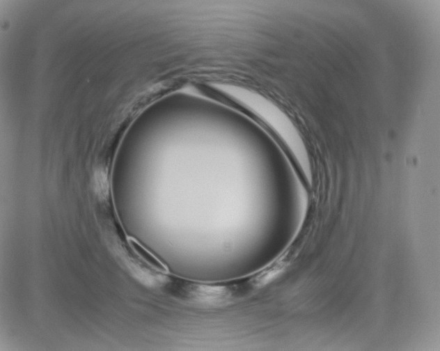 X0000081490609200701262055