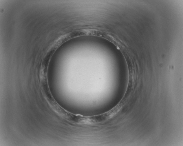 X0000081490611200701262055