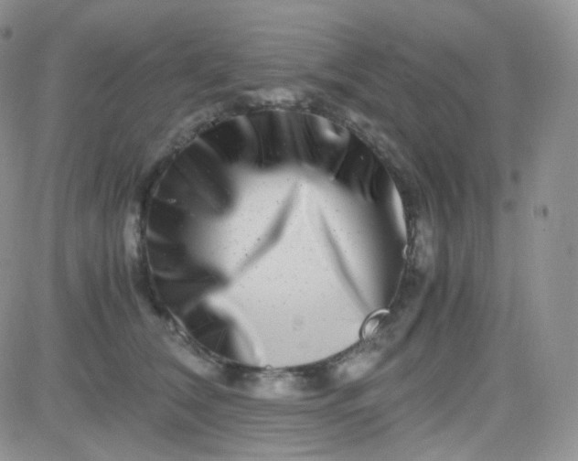 X0000081490612200701262055