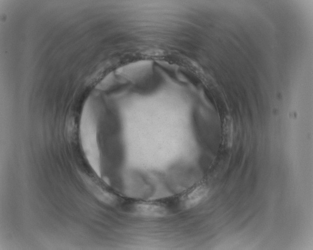 X0000081490614200701262055