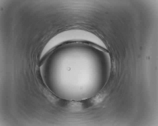 X0000081490617200701262055