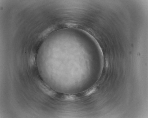 X0000081490618200701262055