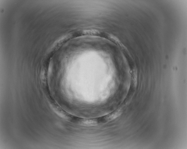 X0000081490619200701262055