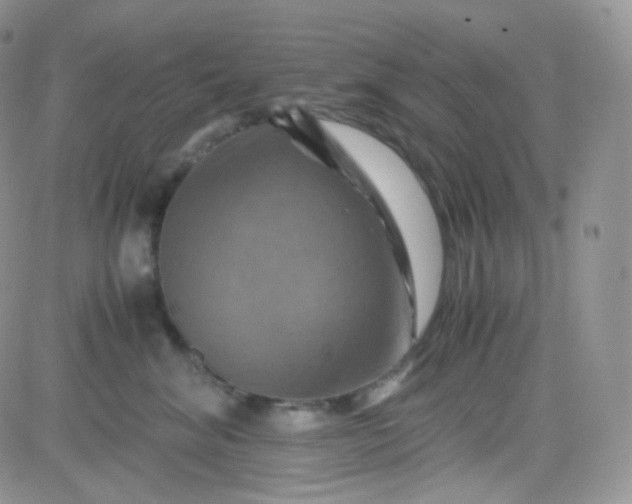 X0000081490620200701262055