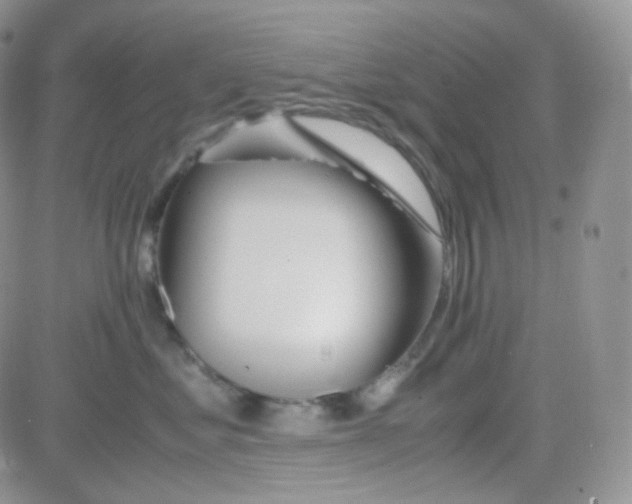 X0000081490621200701262055