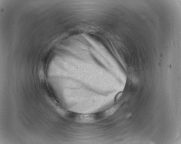 X0000081490622200701262055