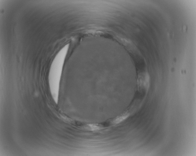 X0000081490623200701262055