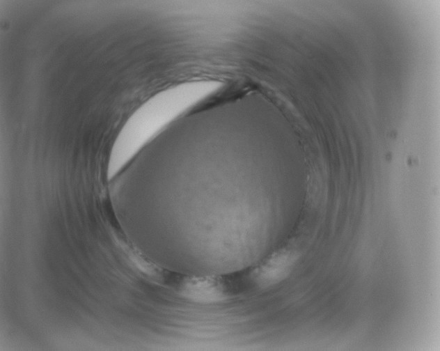 X0000081490624200701262055