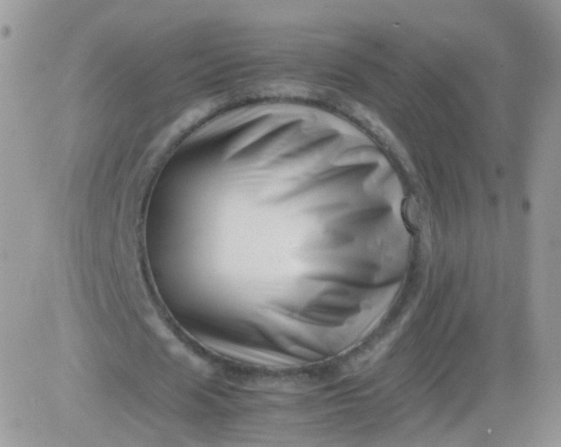 X0000081490625200701262054