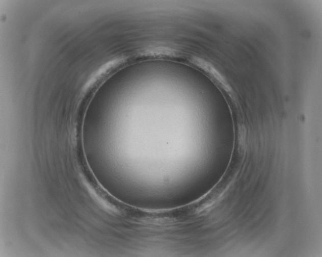 X0000081490629200701262054