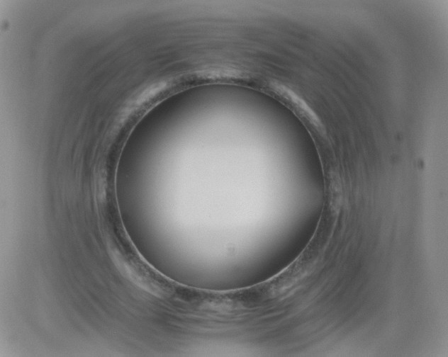 X0000081490631200701262054