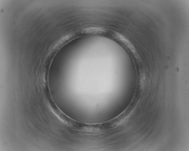 X0000081490633200701262054