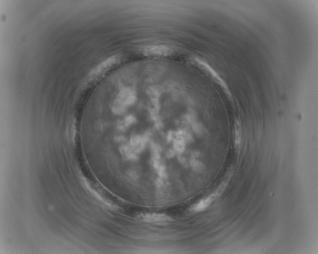 X0000081490637200701262055