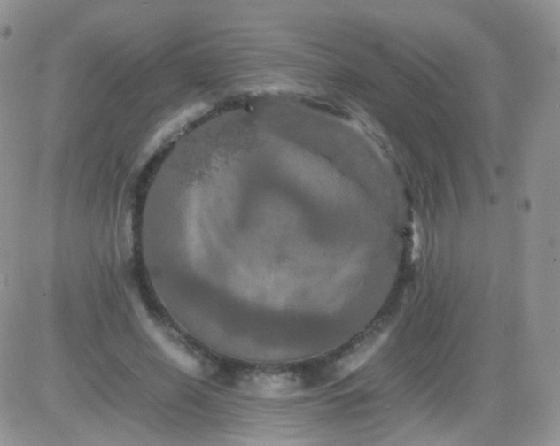 X0000081490638200701262055