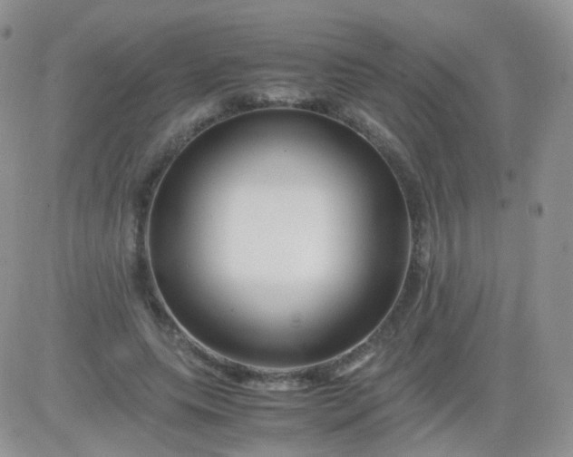 X0000081490639200701262055