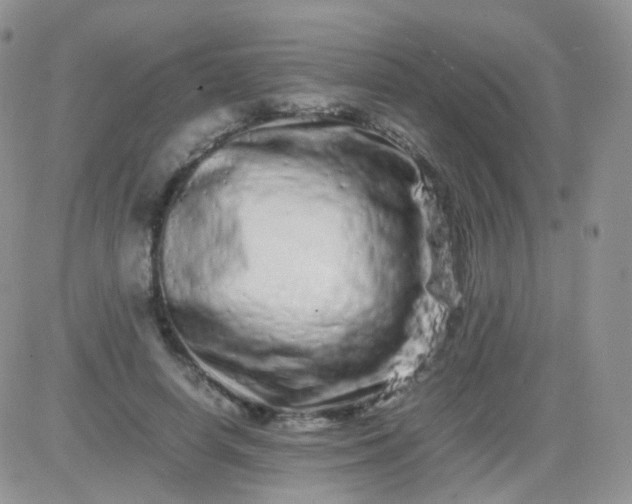 X0000081490642200701262055