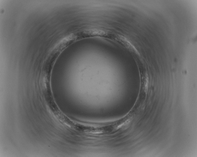 X0000081490643200701262055