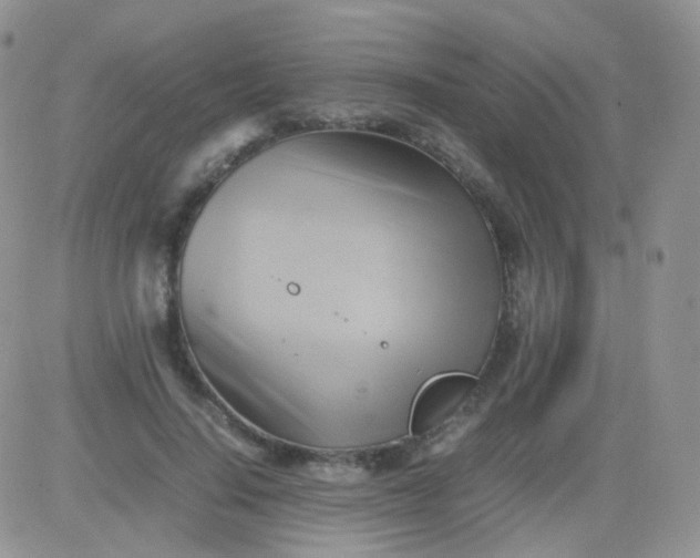 X0000081490644200701262055