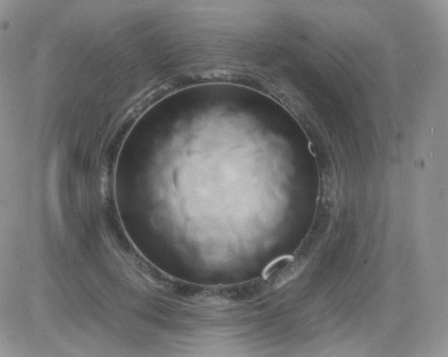 X0000081490648200701262055