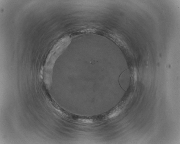 X0000081490649200701262055