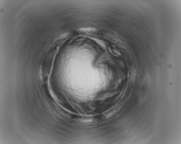 X0000081490651200701262055