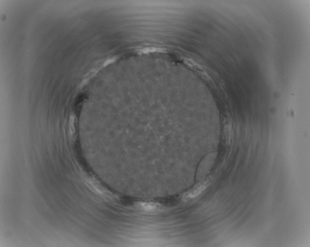 X0000081490654200701262055