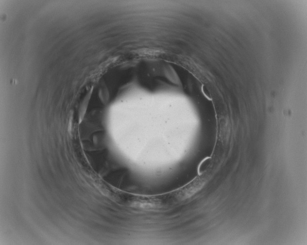 X0000081490655200701262055