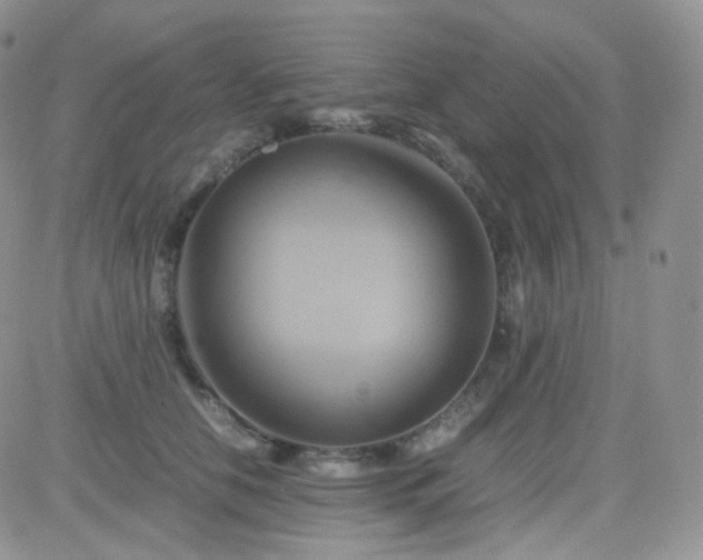 X0000081490658200701262055