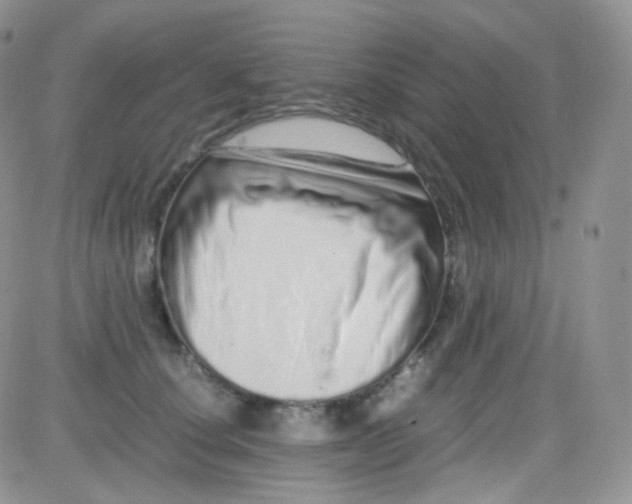 X0000081490660200701262055